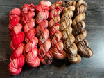 Fall 2023 Fade Set DK Fade Hand Dyed Yarn - Ready to Ship