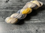 Thumper (DK) Hand Dyed Yarn - Ready to Ship