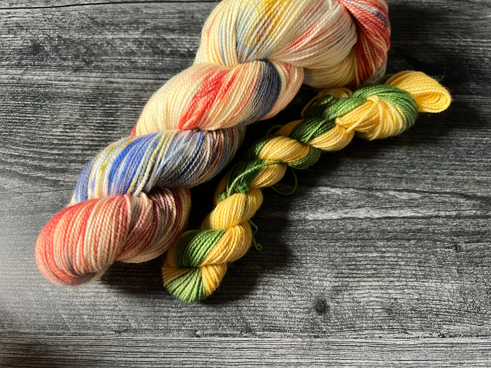 Saguaro National Park Sock Set - Ready to Ship